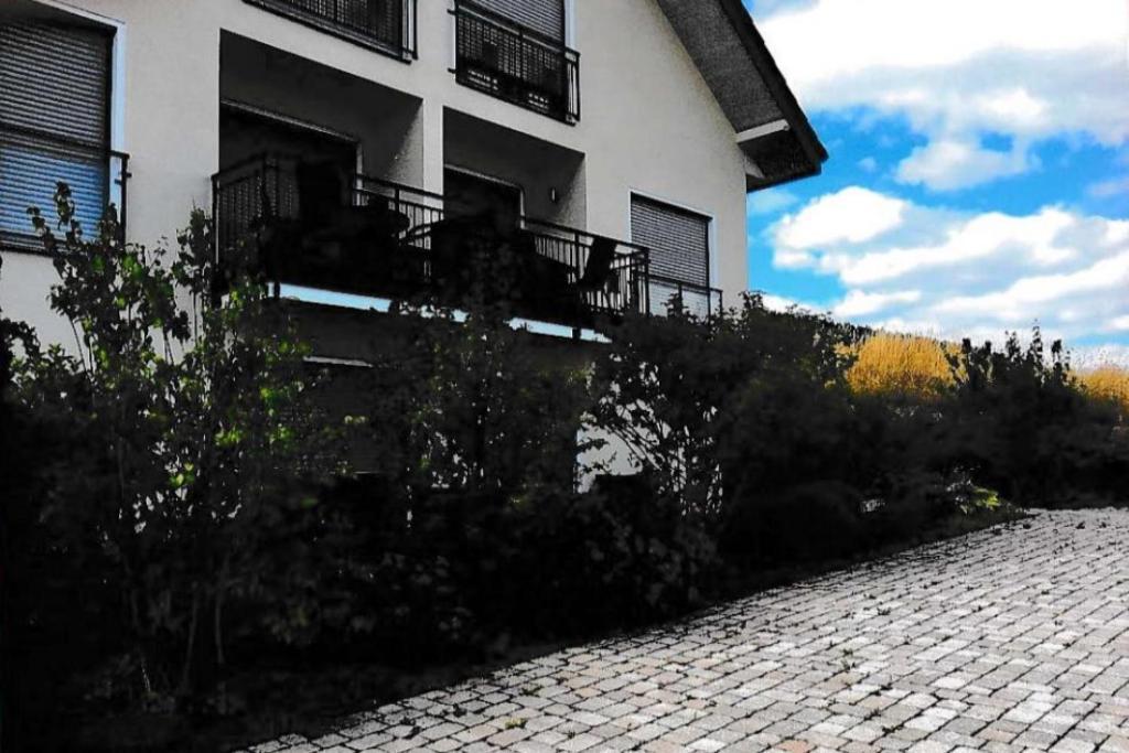 Ferienwohnung Blanco In Willingen 维林根 外观 照片